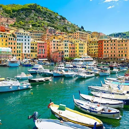 Nel Cuore Di Wi-fi - Netflix Camogli